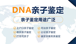 徐州户籍亲子鉴定咨询预约