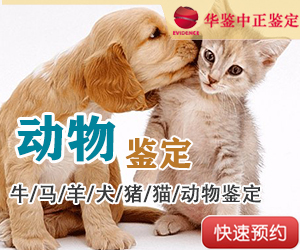 徐州动物亲子鉴定