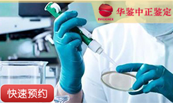 徐州父系亲缘鉴定